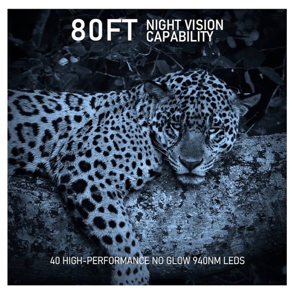 Trail Camera - Picture 9 of 13